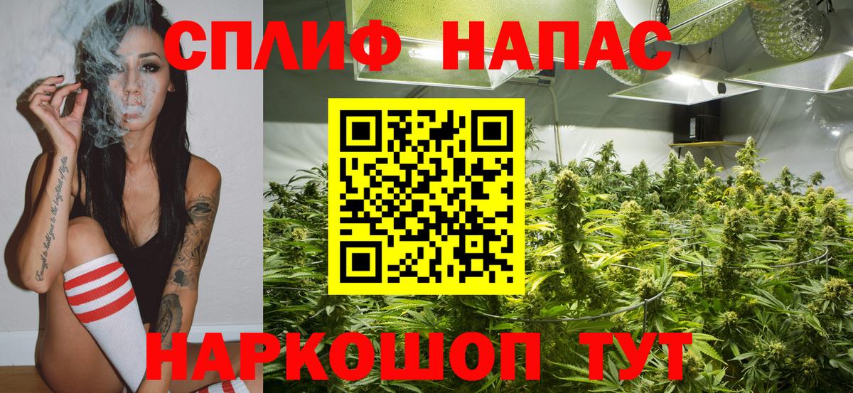 Бошки Шишки VHQ  Бошки Шишки семена  Улан-Удэ  Марихуана ГИДРОПОН  Вход с VPN 
